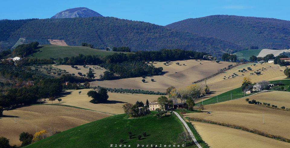 Casale Il Cerqueto Panzió San Severino Marche Kültér fotó