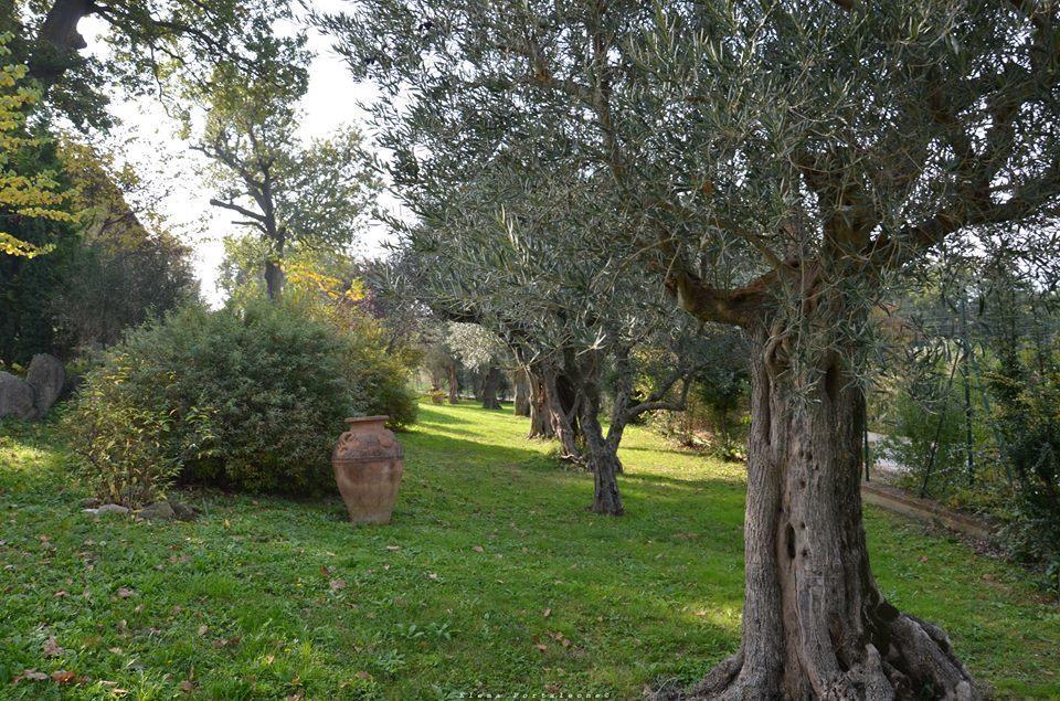 Casale Il Cerqueto Panzió San Severino Marche Kültér fotó