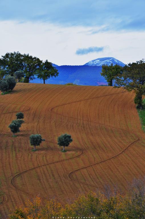 Casale Il Cerqueto Panzió San Severino Marche Kültér fotó